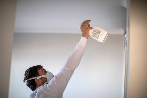 Best Affordable Mold Removal  in Flomaton, AL