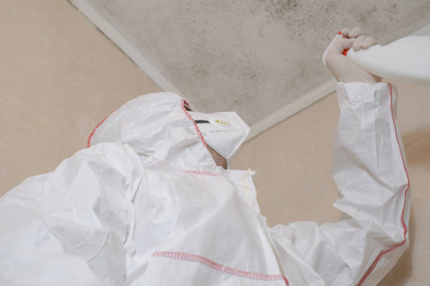 Best Local Mold Removal Service  in Flomaton, AL